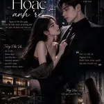 Mê Hoặc Anh Rể